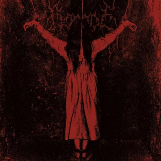 Y - CD Audio di Borgne