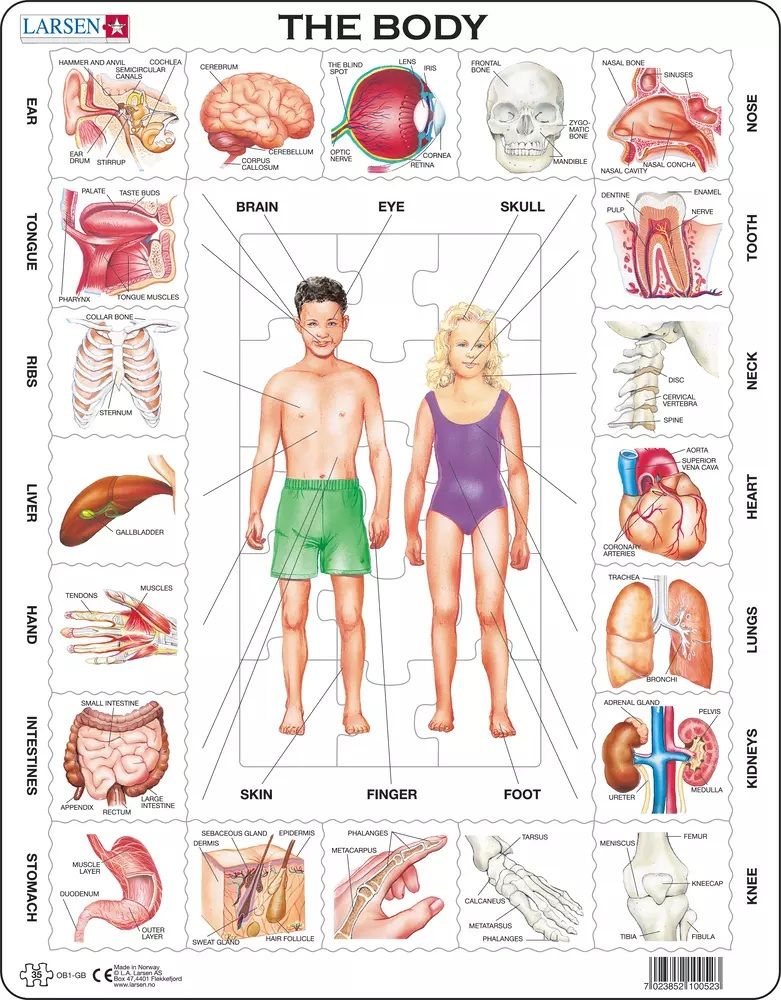 Spaziomedia