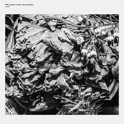 Requires (Screen Print On B-Side) - Vinile LP di Fire!