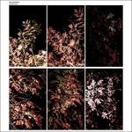 Solidification - Vinile LP + DVD di Arve Henriksen