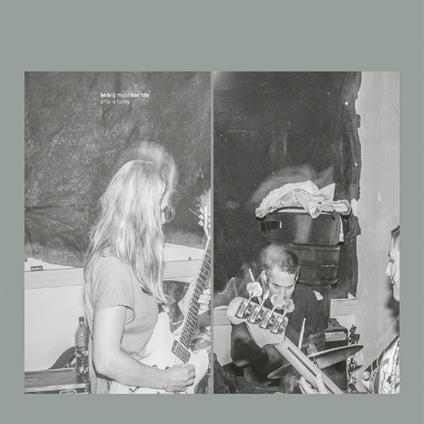 Smells Funny - CD Audio di Hedvig Mollestad