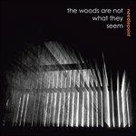 The Woods Are Not What They Seem - Vinile LP di Needlepoint