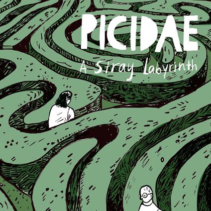 A Stray Labyrinth - Vinile LP di Picidae