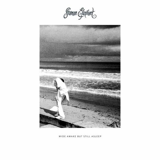 Wide Awake but Still Asleep (Coloured Vinyl) - Vinile LP di Shaman Elephant