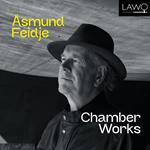 Asmund Feidje. Chamber Works