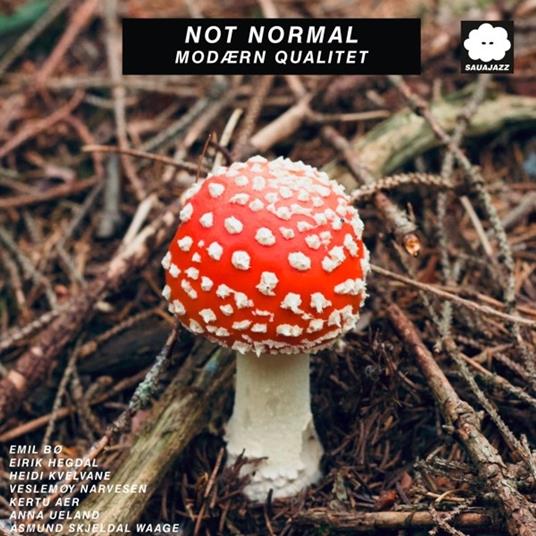 Modaern Qualitet - CD Audio di Not Normal