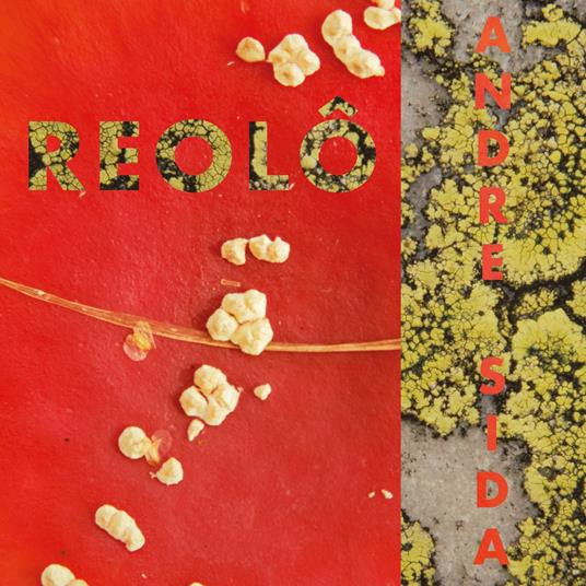 Andre Sida - Vinile LP di Reolo