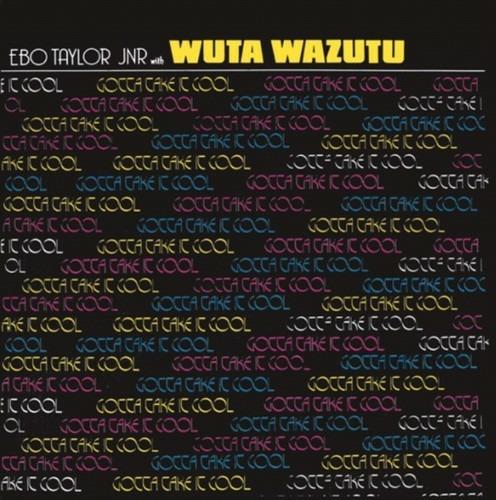 Gotta Take it Cool - Vinile LP di Ebo Taylor Jr.,Wuta Wazutu