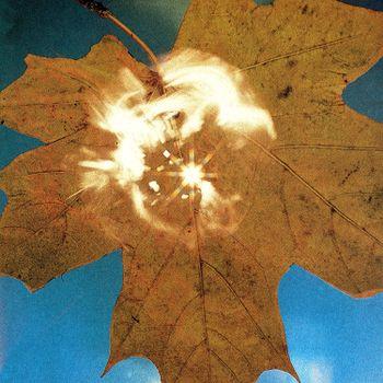 Force Of The Wind - CD Audio di Soyuz