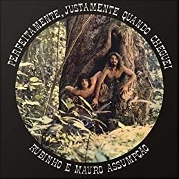Perfeitamente, Justamente Quando Cheguei - Vinile LP di Rubinho e Mauro Assumpção