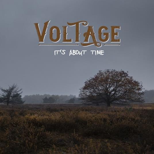 It's About Time - CD Audio di Voltage