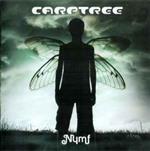 Nymf