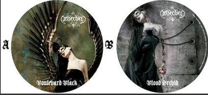 Boulevard Black - Vinile LP di Netherbird