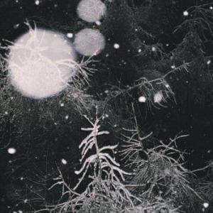 Over the Voids - CD Audio di Over the Voids