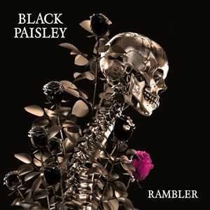 CD Rambler Black Paisley
