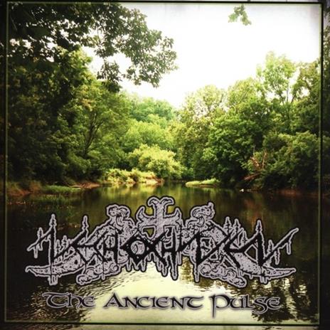 Ancient Pulse - CD Audio di Nechochwen