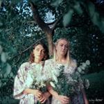 Lily Arbor