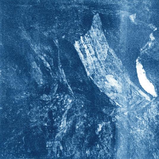 Variations For Light Waves - Vinile LP di Linnea Talp
