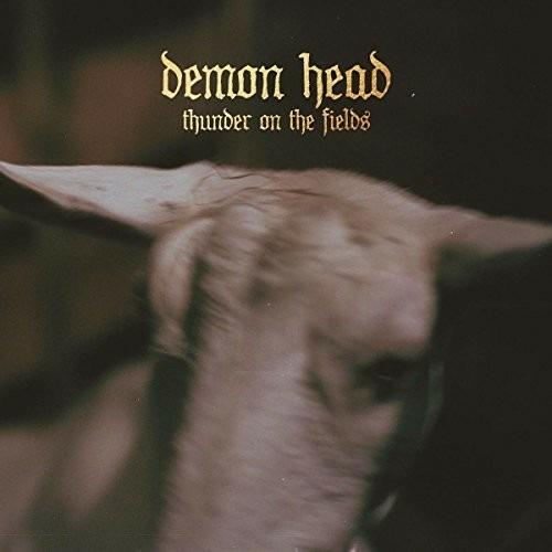 Thunder on the Fields - CD Audio di Demon Head