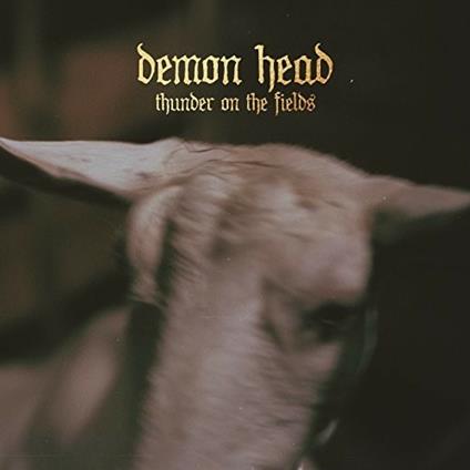 Thunder on the Fields - Vinile LP di Demon Head