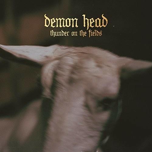 Thunder on the Fields - Vinile LP di Demon Head