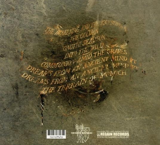 Into the Wild - CD Audio di Voodus - 2
