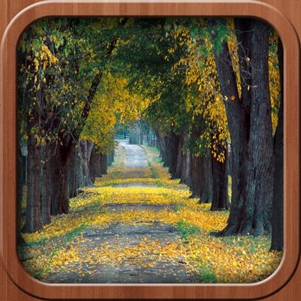 Confesiones de un Alma Bella