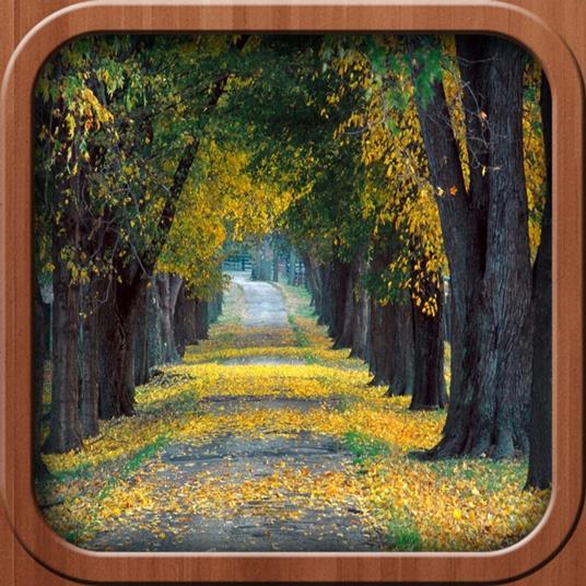 Confesiones de un Alma Bella