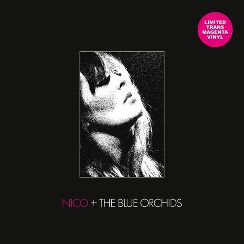 Live And In Session 1982 (with Blue Orchids) (Trans Magenta) - Vinile LP di Nico