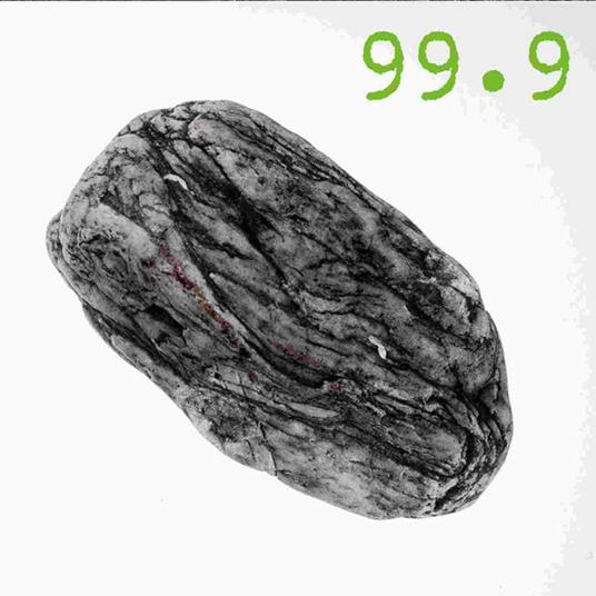 Silex - CD Audio di 99.9