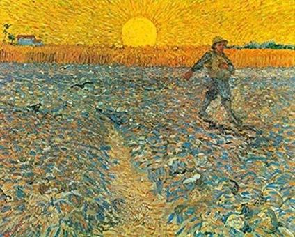 Stampa Su Tela - Canvas - Il Seminatore - Van Gogh - 50X70Cm - Senza Telaio - copertina