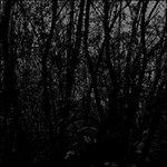 Cosmogon - CD Audio di Unfold