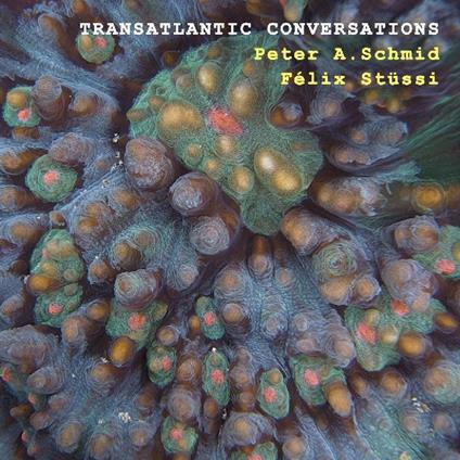 Transatlantic Conversations - CD Audio di Peter Schmid