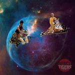 Real Sofa Techno Jazz Surfers