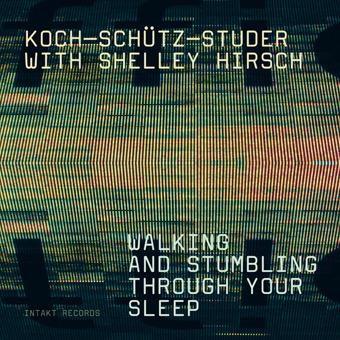 Walking and Stumbling Through Your Sleep - CD Audio di Hans Koch,Fredy Studer,Martin Schutz
