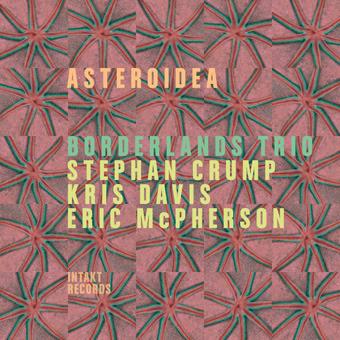 Asteroidea - CD Audio di Borderlands Trio