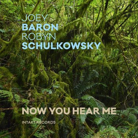 Now You Hear Me - CD Audio di Joey Baron,Robyn Schulkowsky