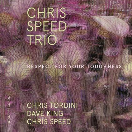 Respect for Your Toughness - CD Audio di Chris Speed,Dave King,Chris Tordini