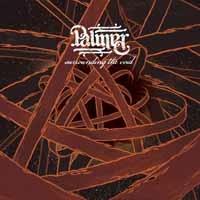 Surrounding the Void - CD Audio di Palmer