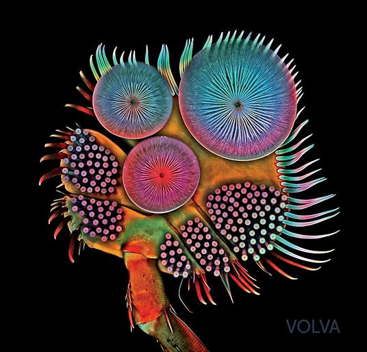 Volva - Vinile LP di Echolot