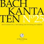 Cantata n.25