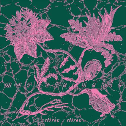 Mareeternelle - Vinile LP di Citron Citron