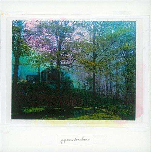Bower - Vinile LP di Pigeons
