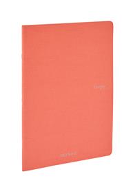 Quaderno Fabriano Ecoqua A4 punto metallico a puntini flamingo