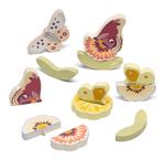 Mix & Match Fiori & Farfalle (15 pz) (83138)