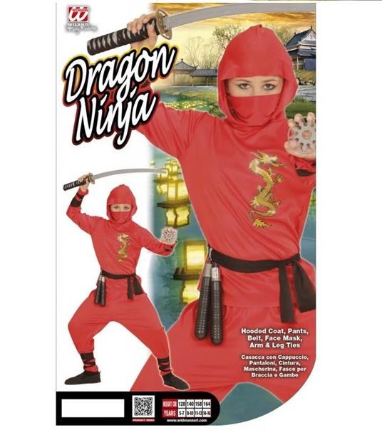 Costume Dragon Ninja