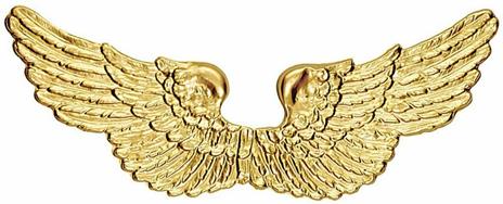 Costume Ali angelo dorate in plastica