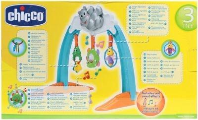 Palestra Hippo Chicco - 5