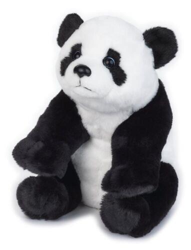 Orso Panda Medio