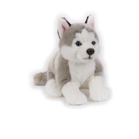 VENTURELLI - PELUCHE HUSKY National Geographic art. 770684